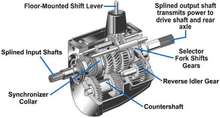 Manual Transmission Showing Gears and Synchronizer